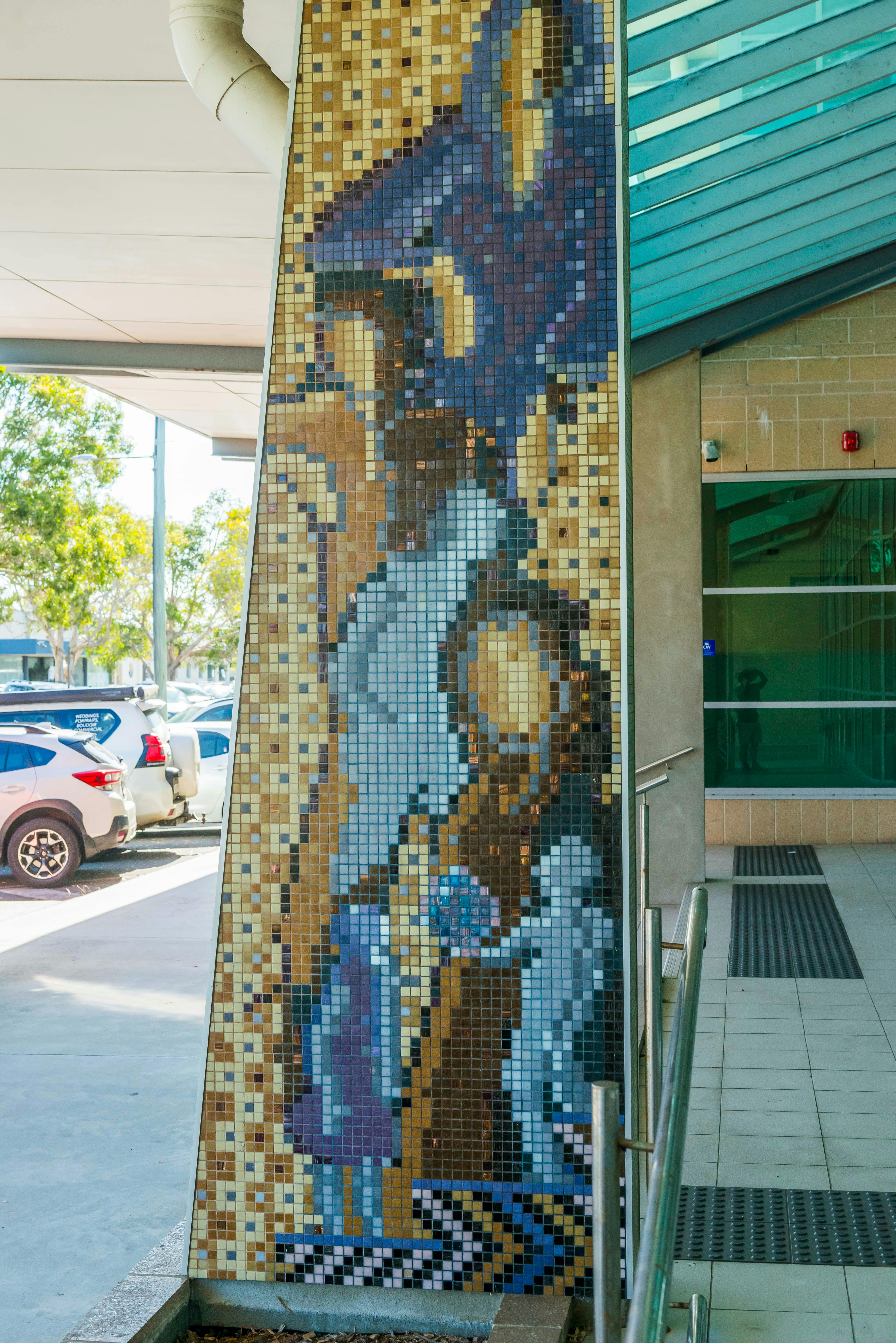 Ballina Public Art - Scott Harrower Mosaic