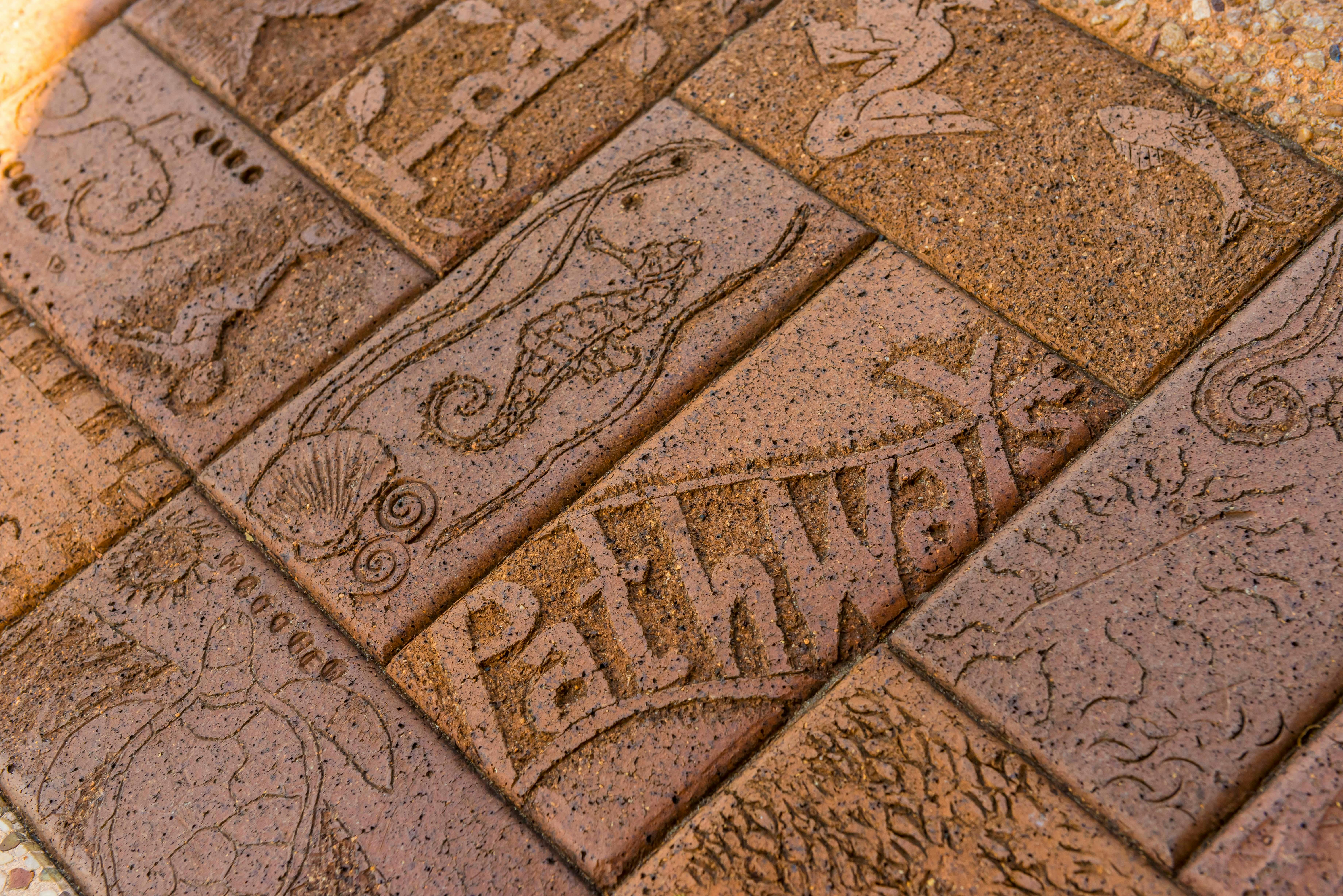 Ballina Public Art - Make Your Mark