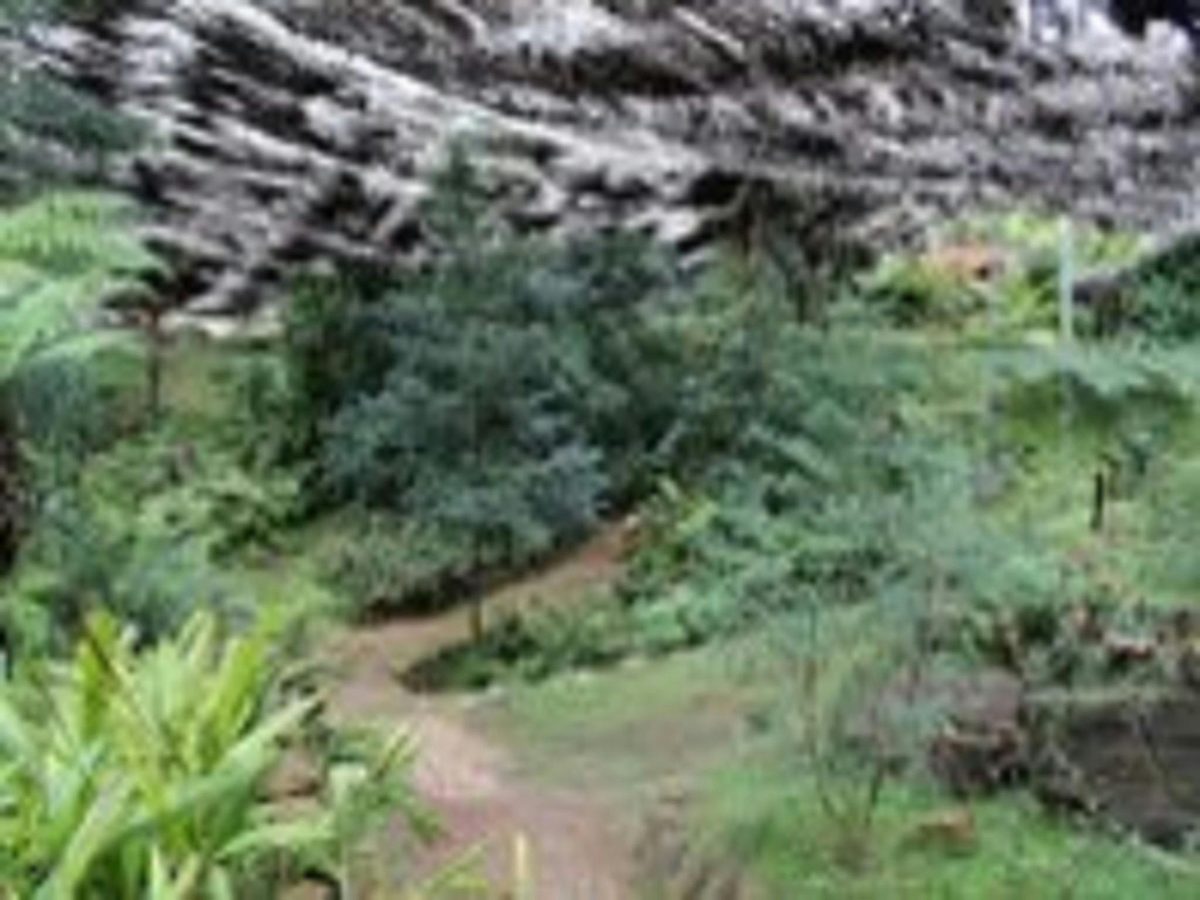 Burrendong Botanic Garden and Arboretum