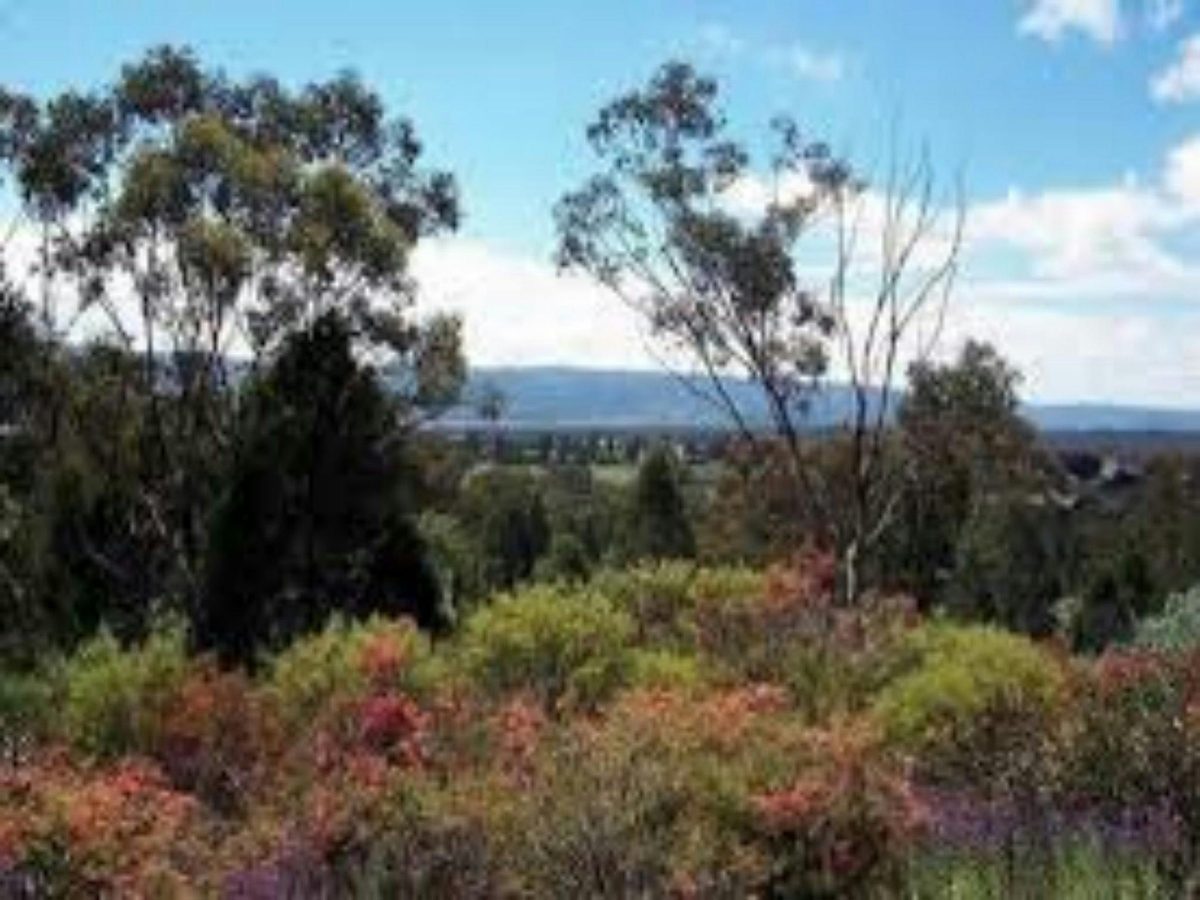 Arboretum