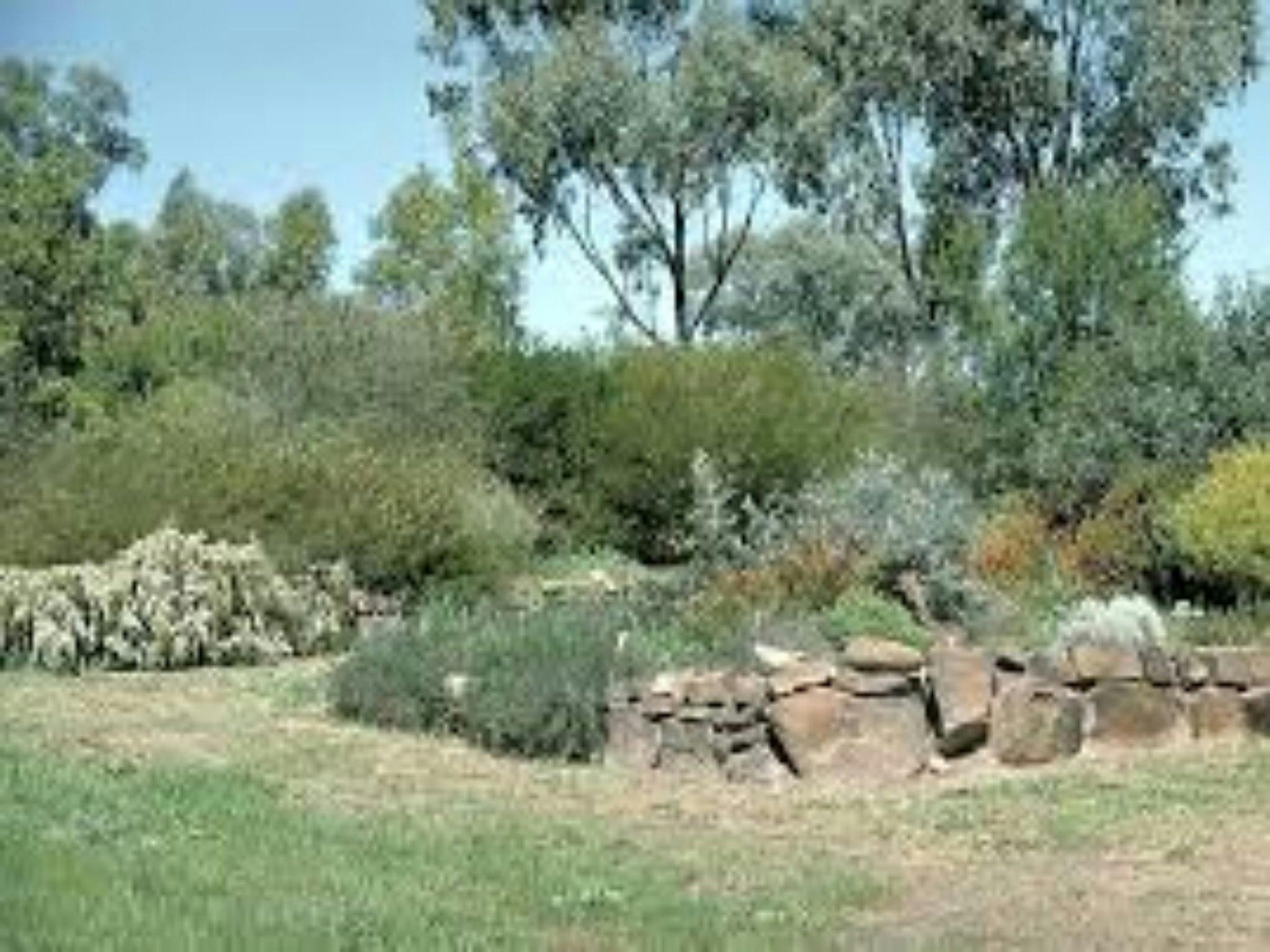Burrendong Arboretum