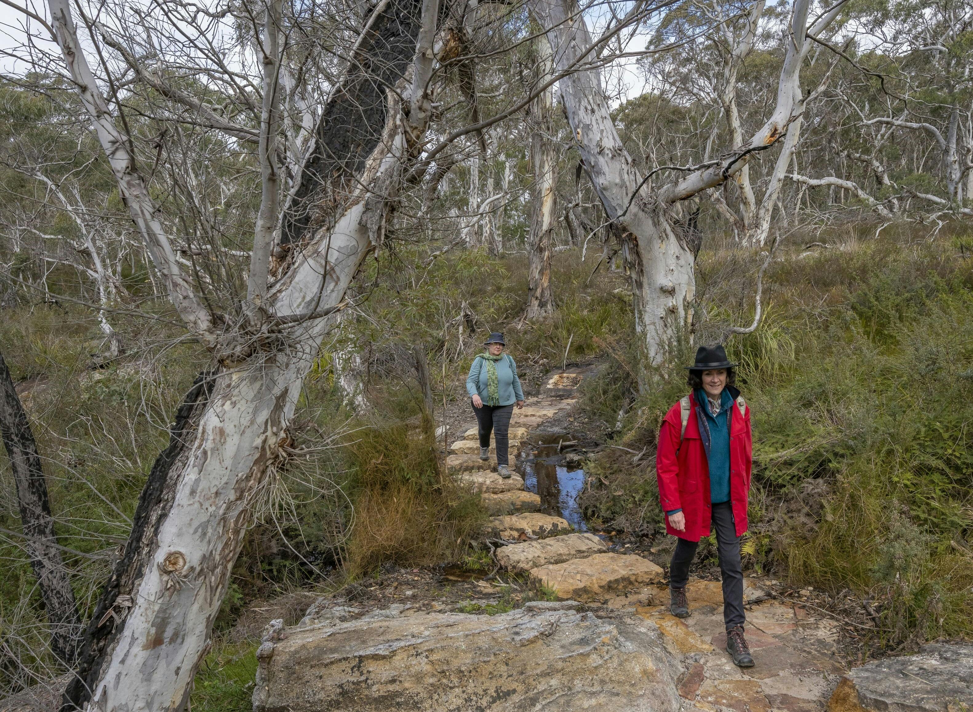 Gardens of Stone State Conservation Area