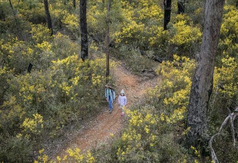 Gardens of Stone State Conservation Area