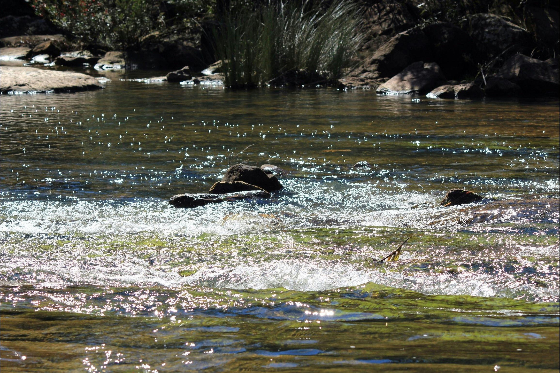 Freres Crossing Bushwalk