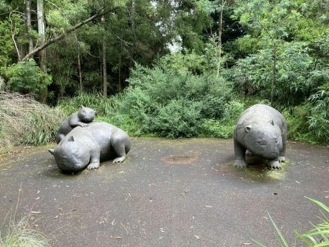 Hammock Hill Reserve