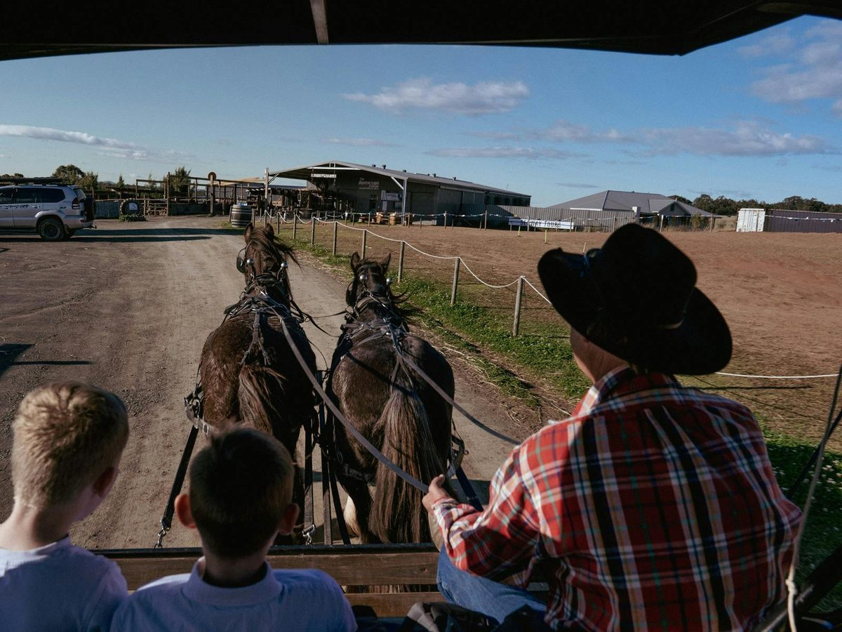 Horse & Carriage
