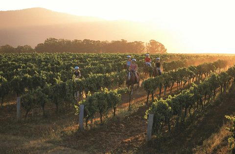 Hunter Farm and Adventure Centre