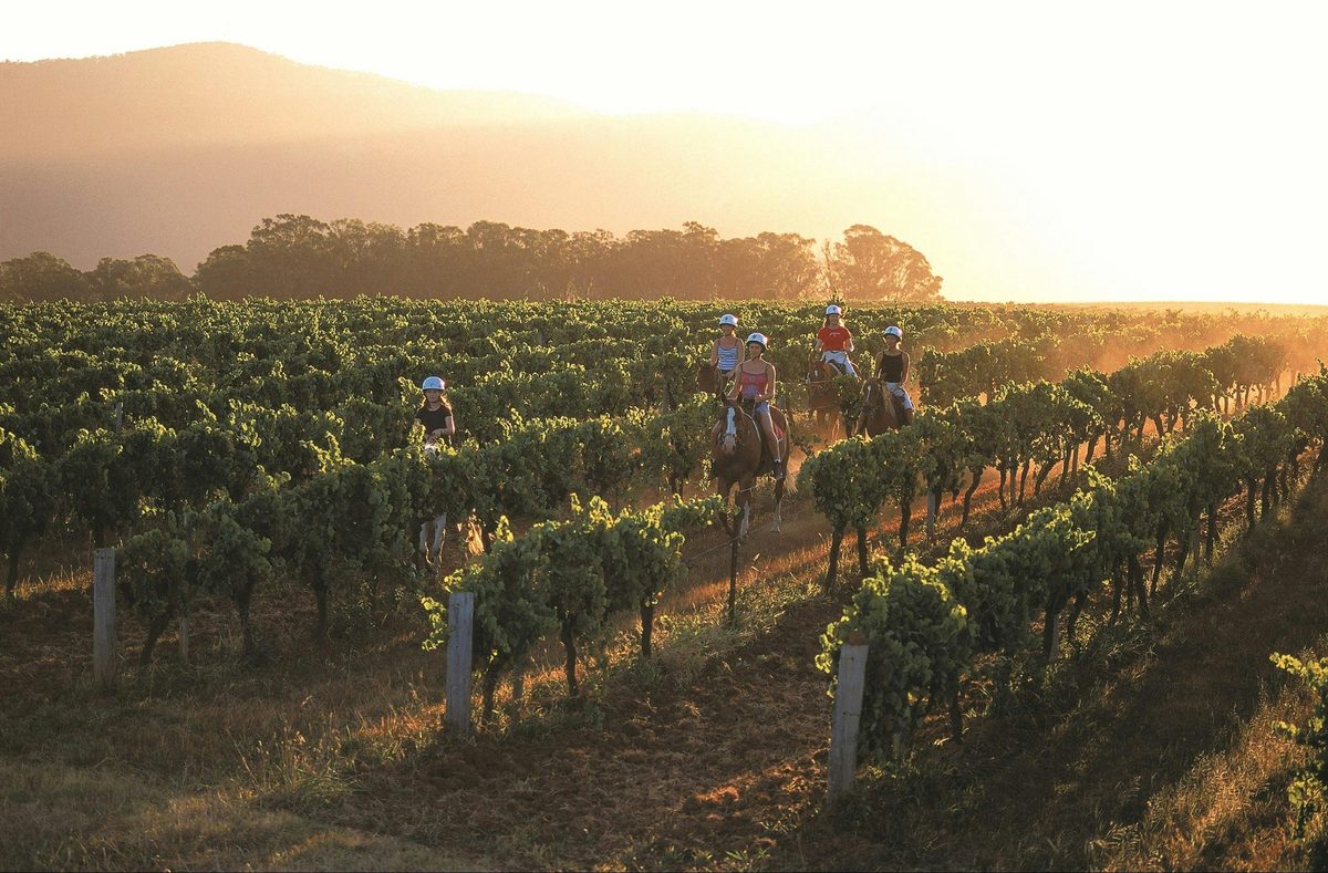 Hunter Valley Adventure Centre