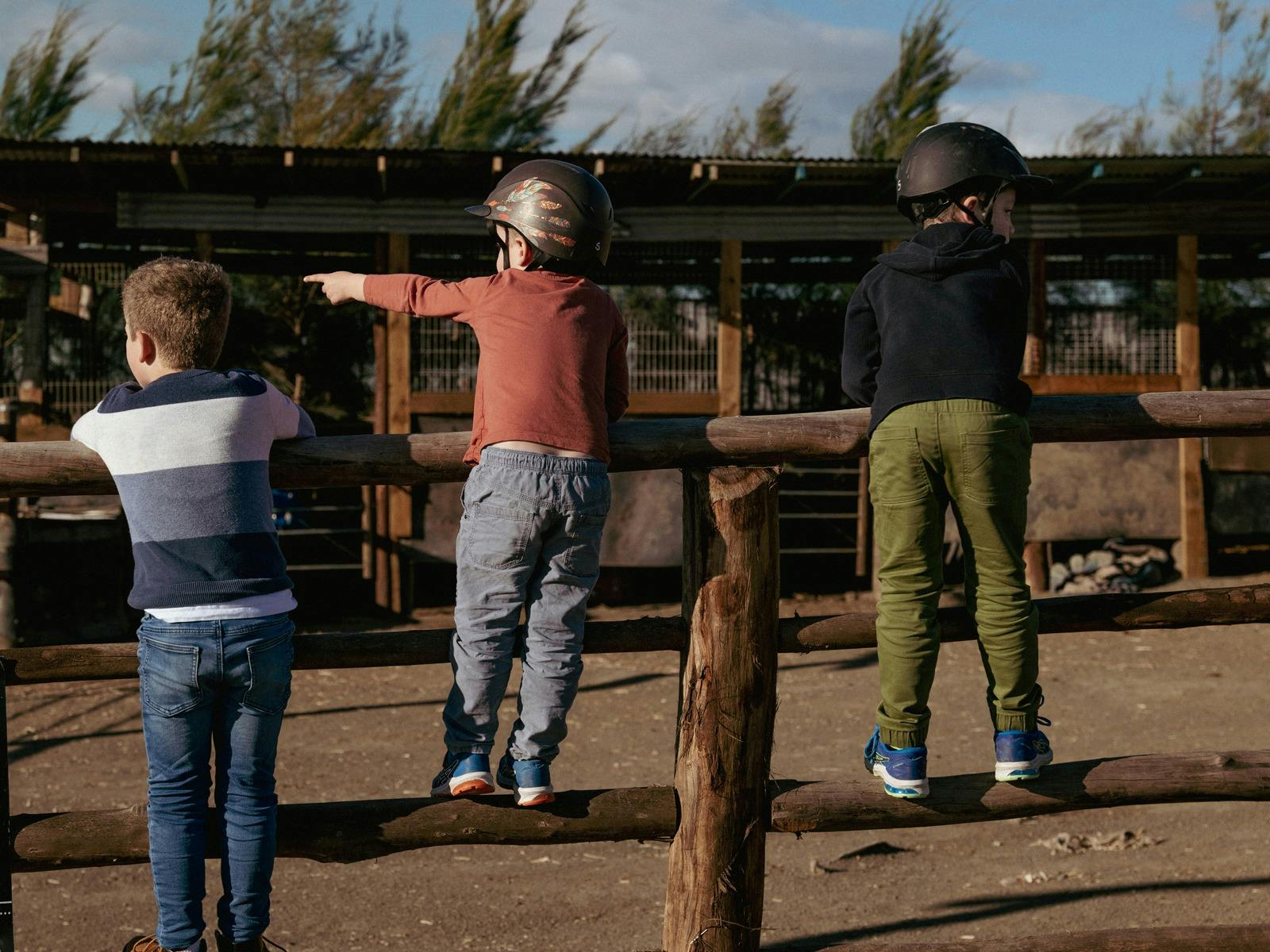 Hunter Farm activies