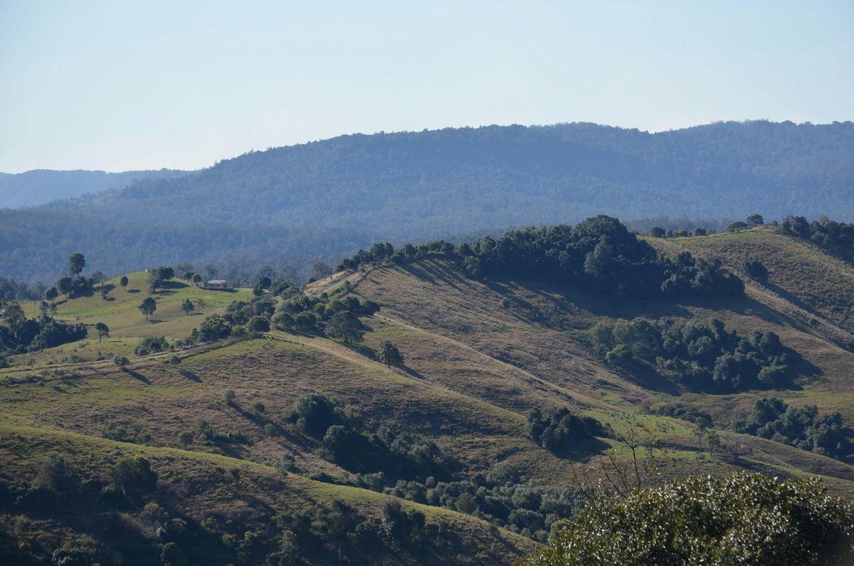 Mallanganee Lookout