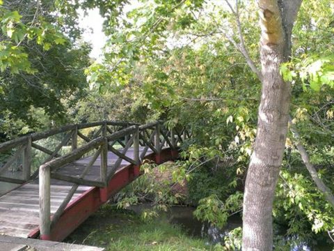 The Best of Bowral and The Bong Bong Track