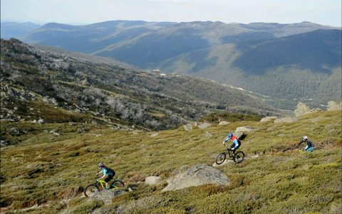 Thredbo Mountain Biking
