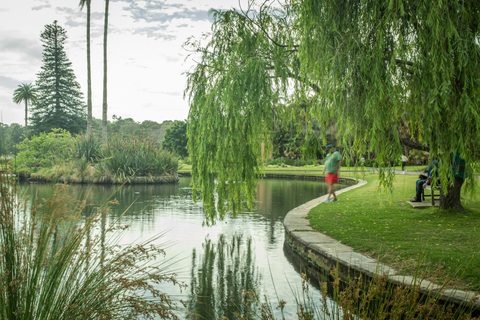 Royal Botanic Garden Main Pond