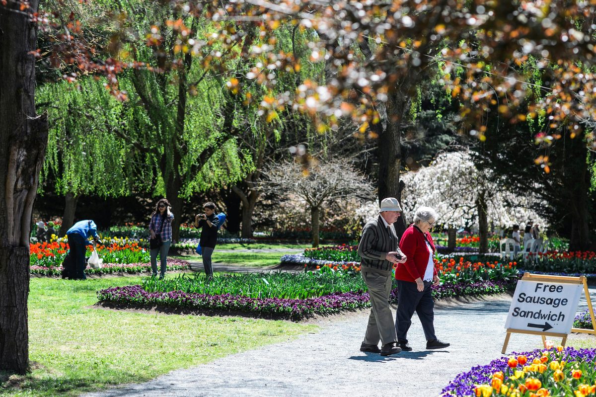 Tulip Top Gardens
