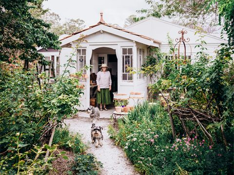 White Cottage Flower Farm