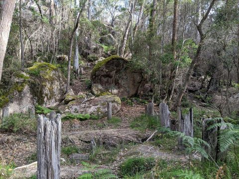 World War II Tank Traps