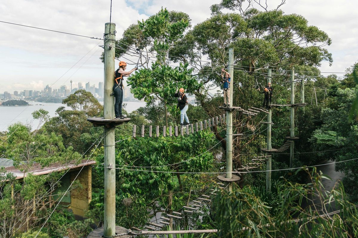 Wild Ropes at Taronga Zoo Sydney - Adults and Juniors Course