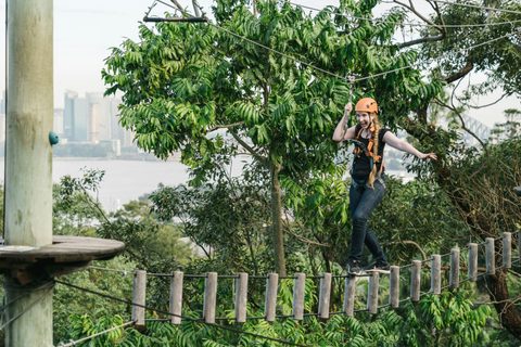 Wild Ropes at Taronga Zoo Sydney