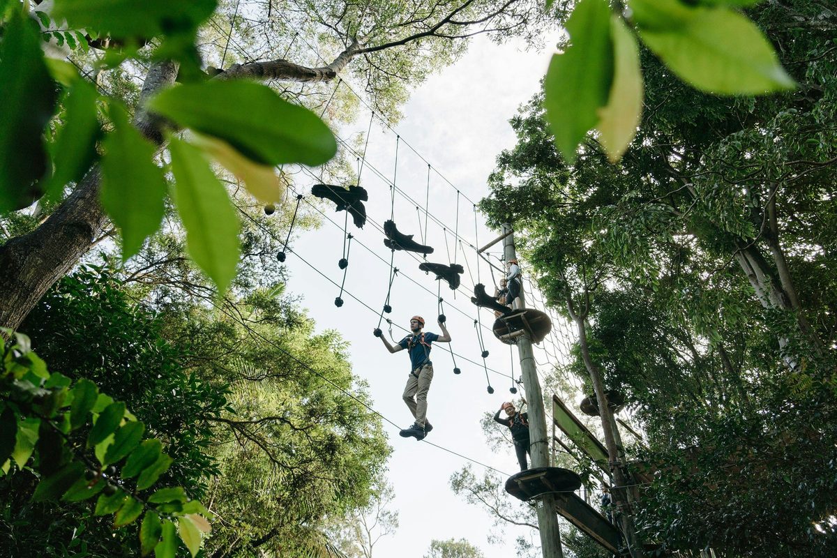Wild Ropes at Taronga Zoo Sydney - Adults and Juniors Course