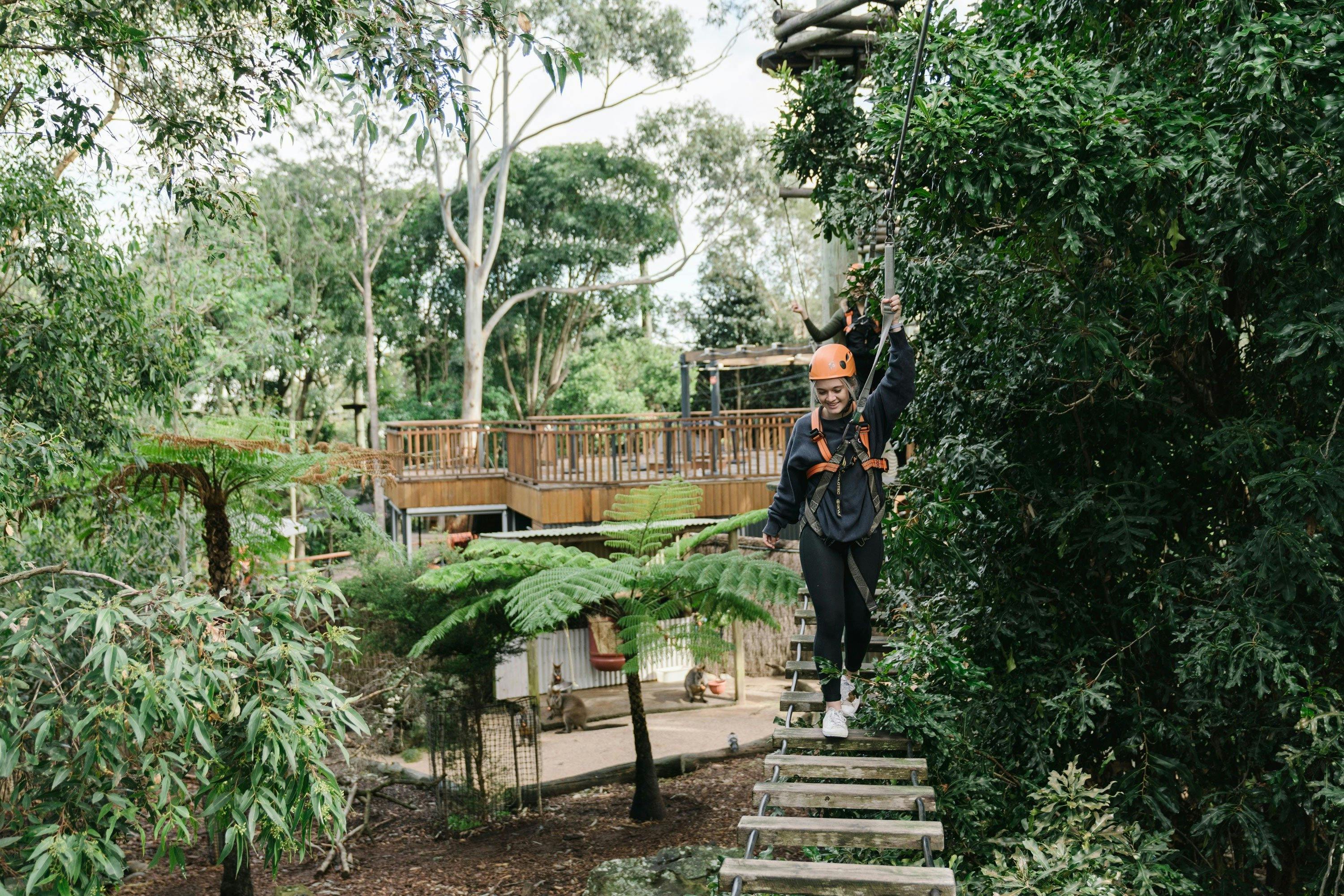 Wild Ropes at Taronga Zoo Sydney - Adults and Juniors Course