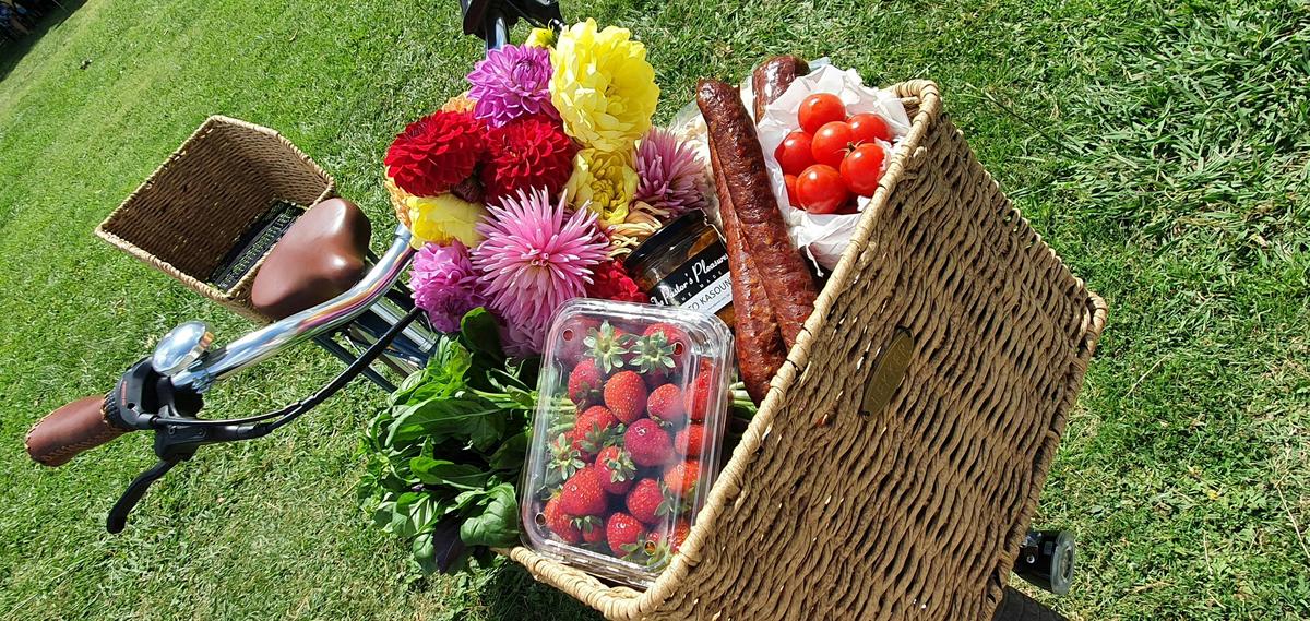 Canberra Wine Region E-Bike Tours