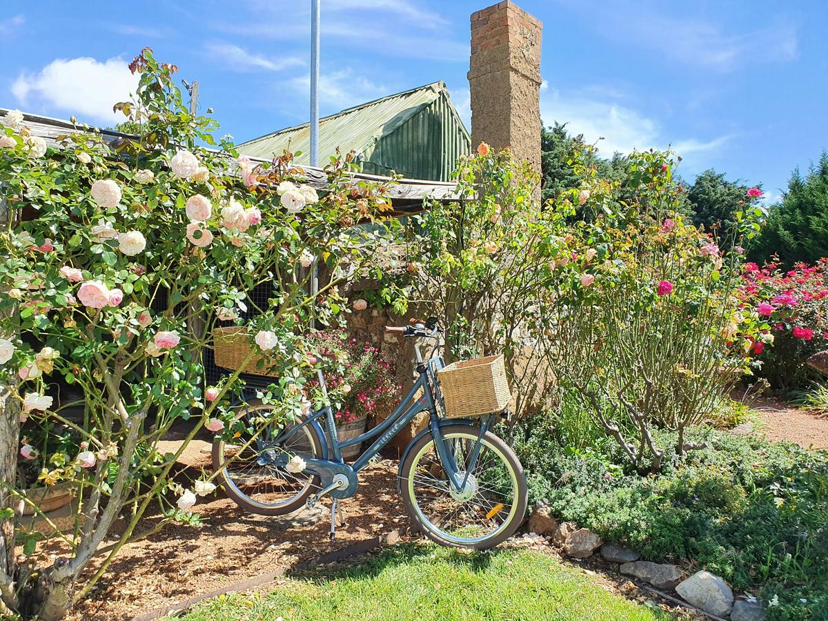 Canberra Wine Region E-Bike Tours
