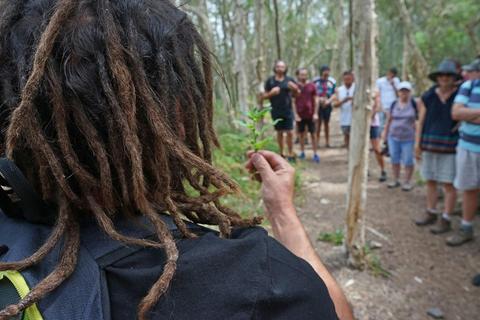 Djiriba Waagura Cultural Tours