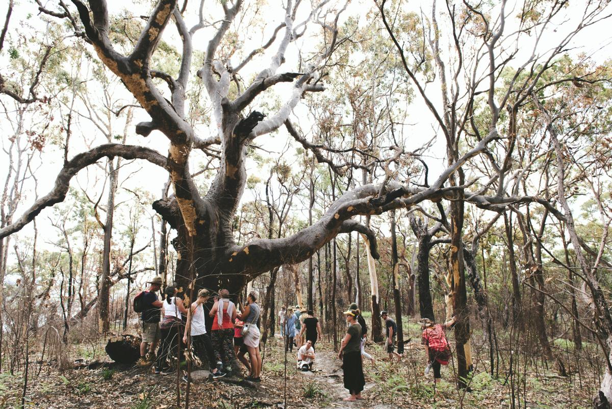 Girri Girra Aboriginal Experiences