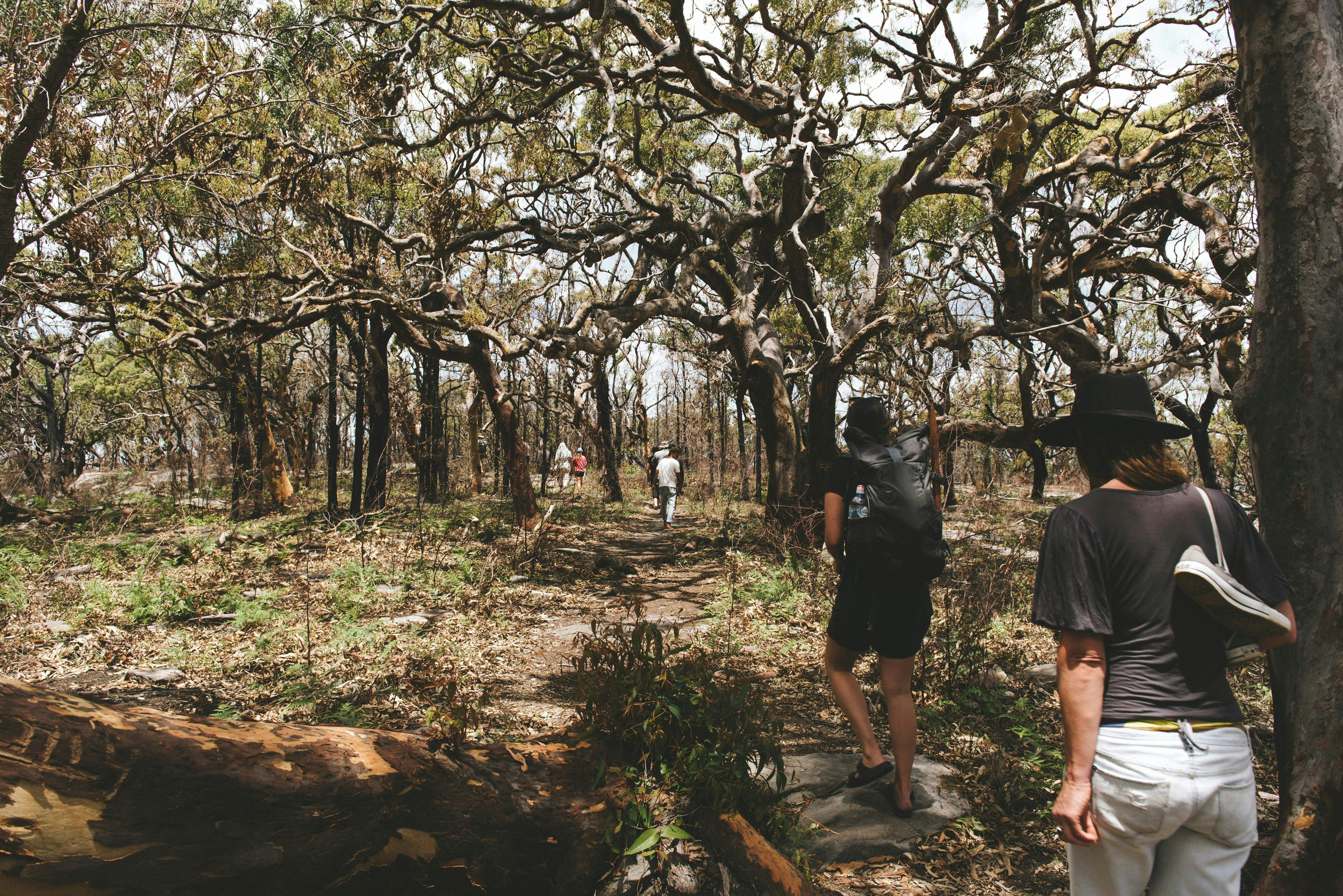 Girri Girra Aboriginal Experiences