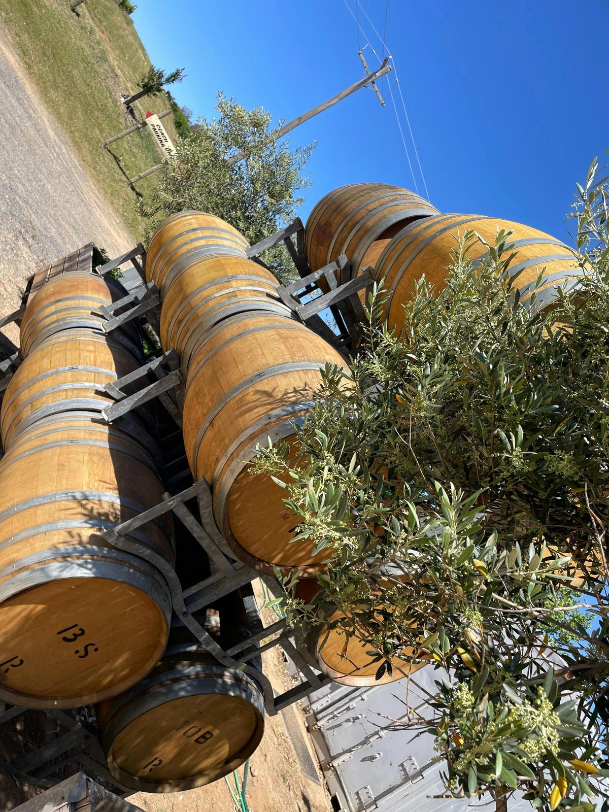 Barrels of character, crafted for cool-climate elegance in the heart of Hilltops.