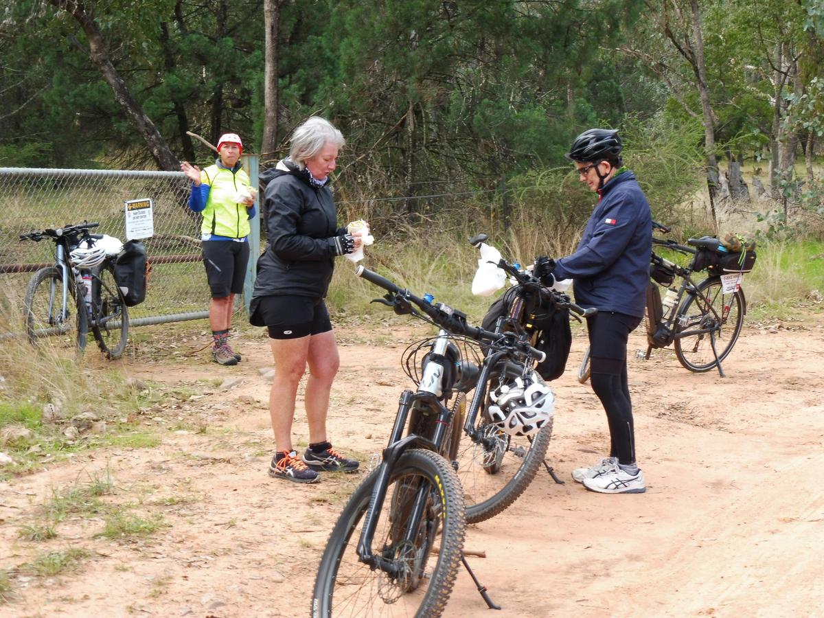 Cyclist Nangar Nat Park Canowindra