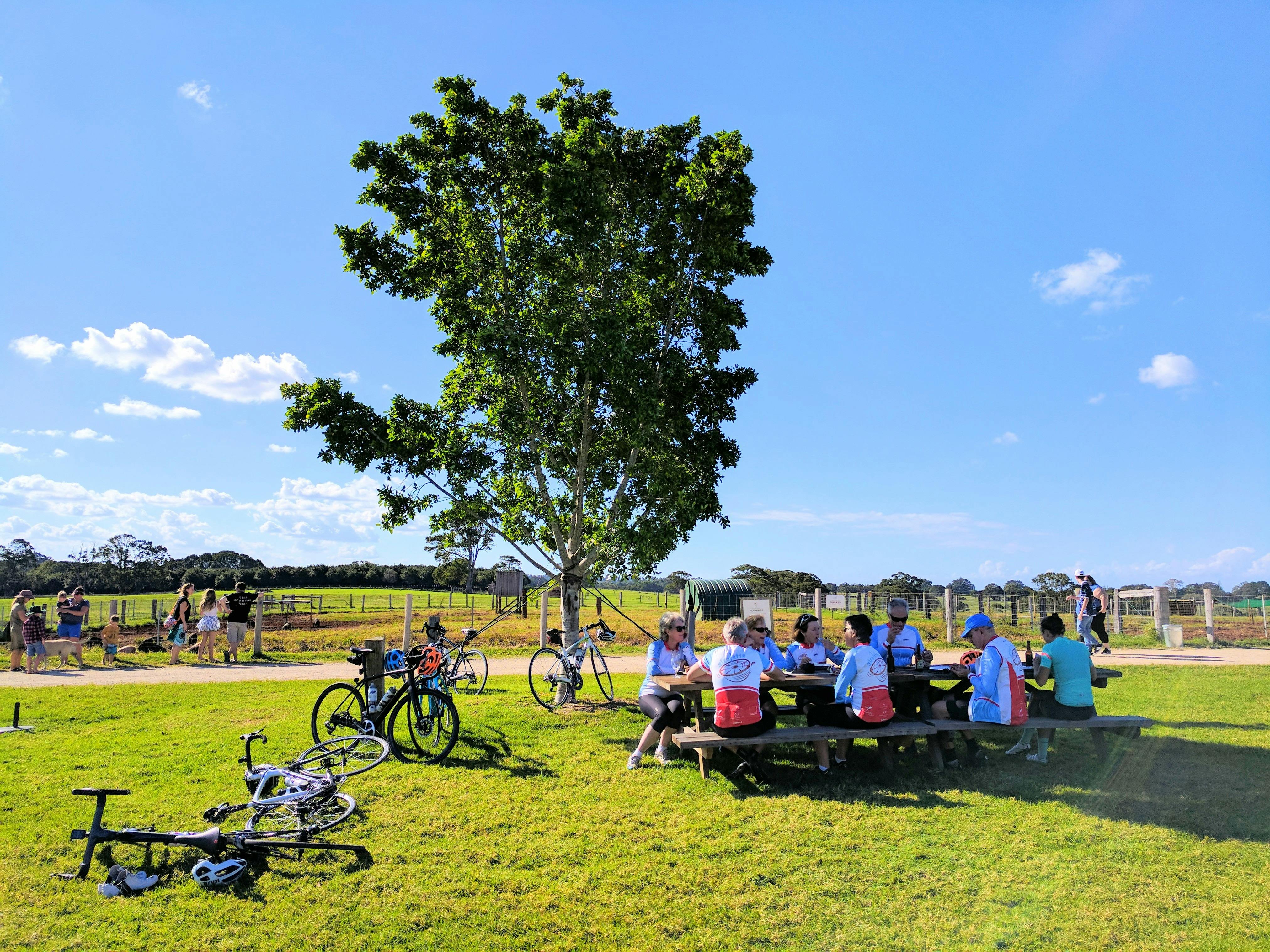 Enjoying a post-ride lunch