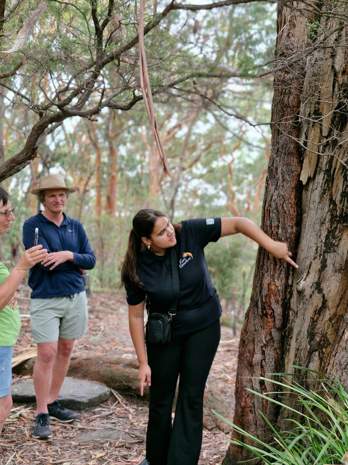 Learn about traditional plant use.