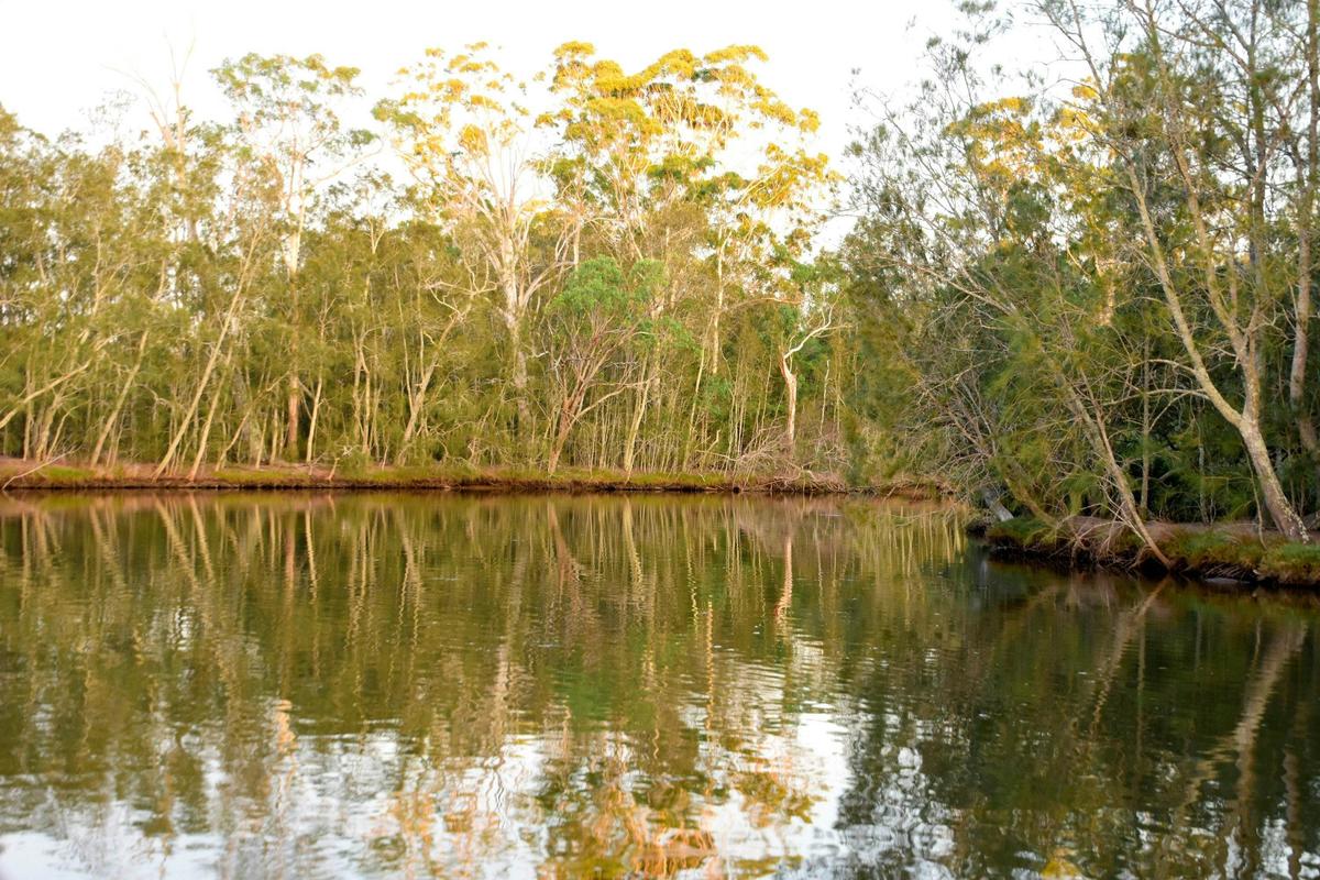 JervisBayWild Calm Waters