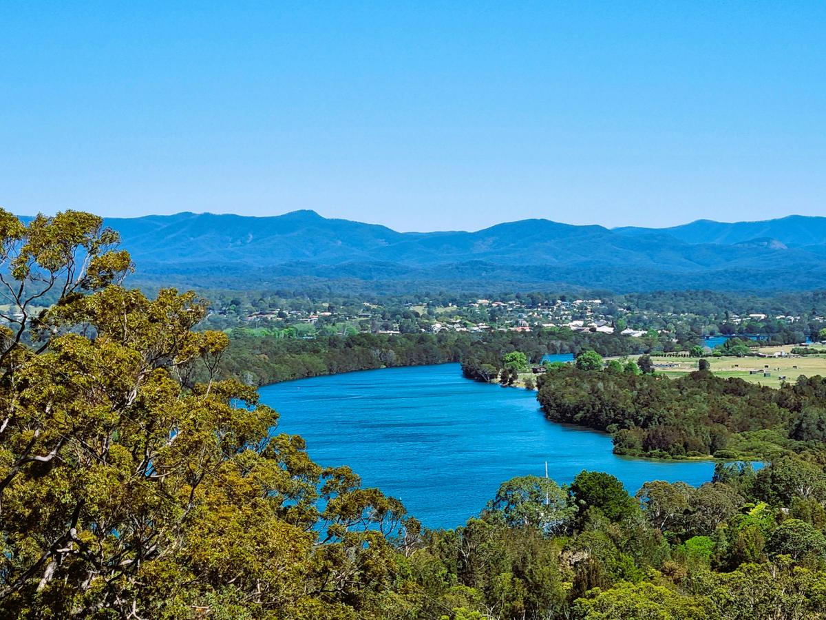 Day Walk - Scones in The Forest.  Get out with an expert tour guide and discover amazing places.