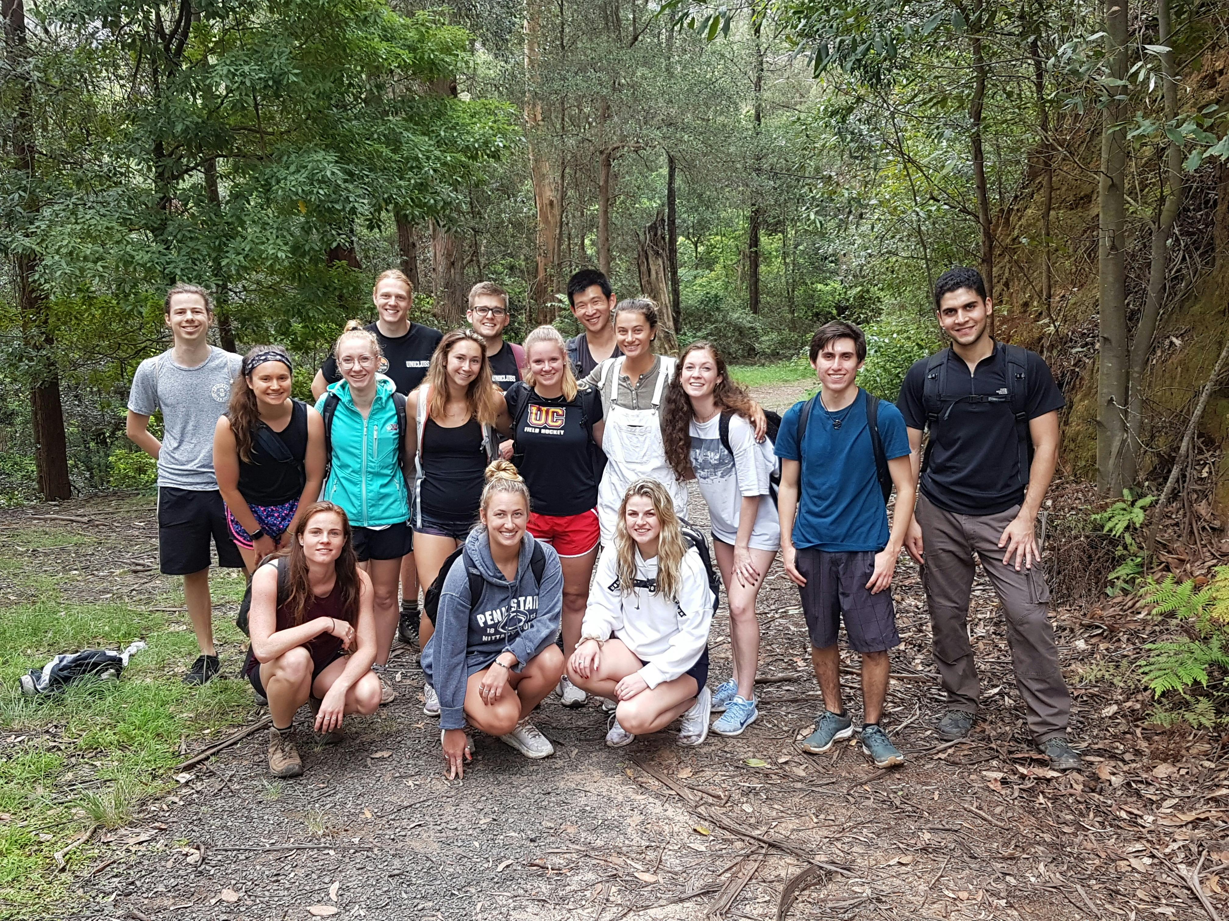 Day Walk - Scones in The Forest. Get out with an expert tour guide and discover amazing places.