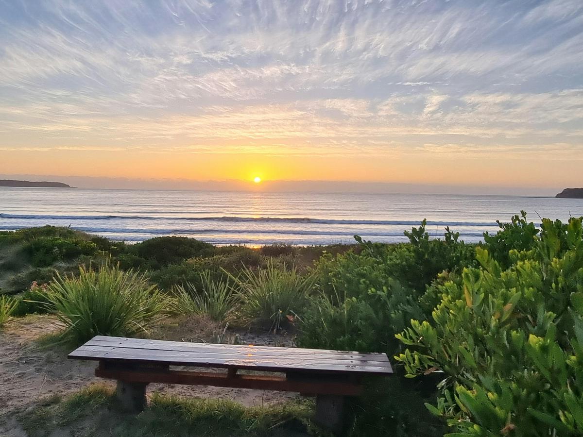 Day Walk - Scones in The Forest.  Get out with an expert tour guide and discover amazing places.