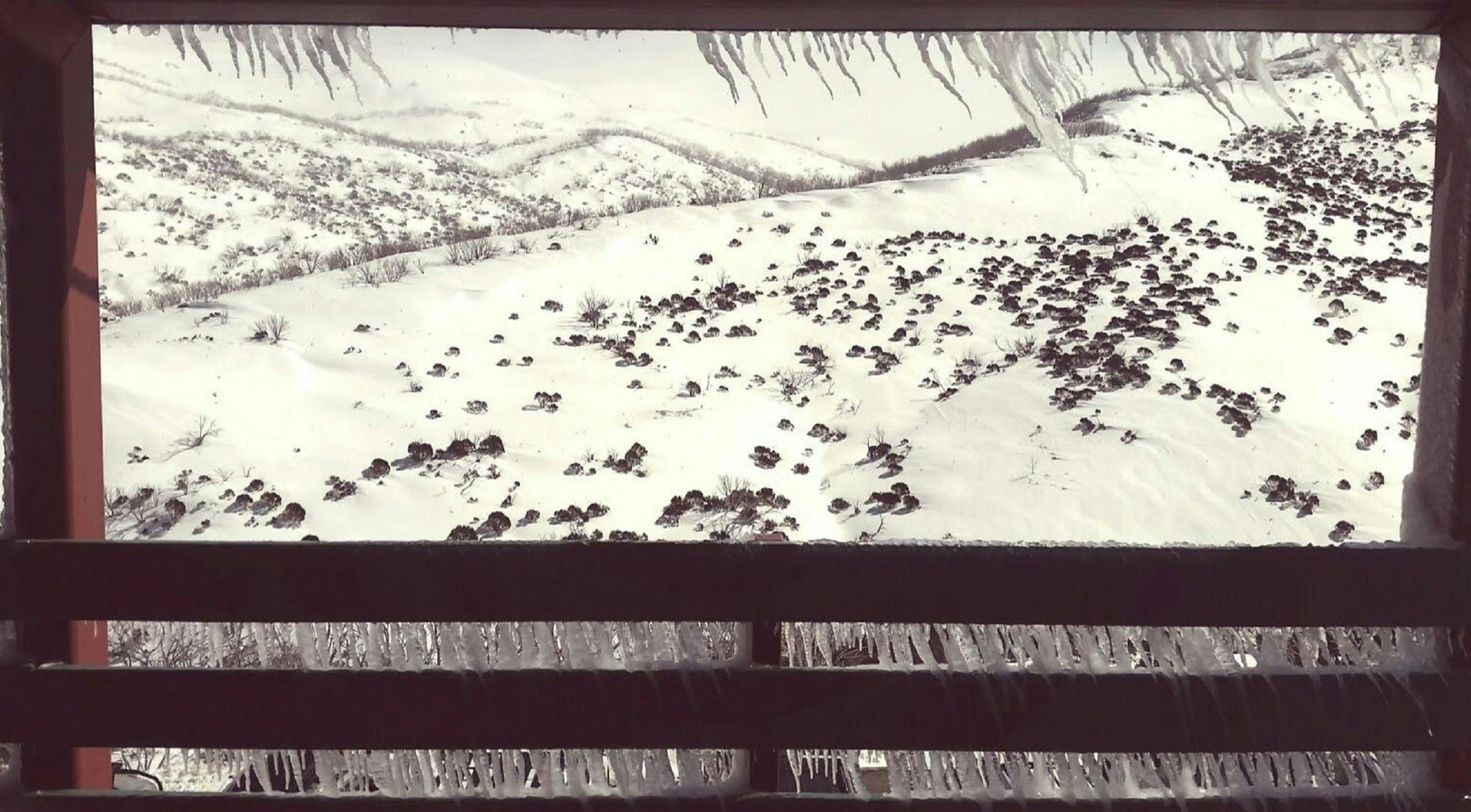 Snowy Mountains Backcountry