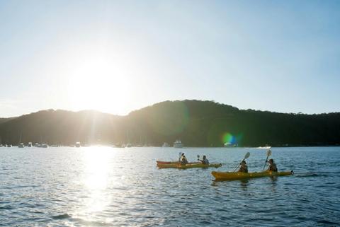 Paddlecraft - Kayak and SUP Tours