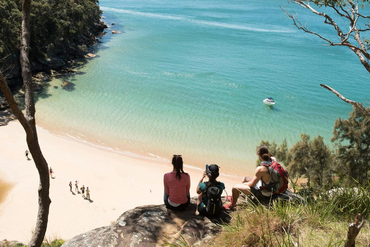 View from Bushwalk