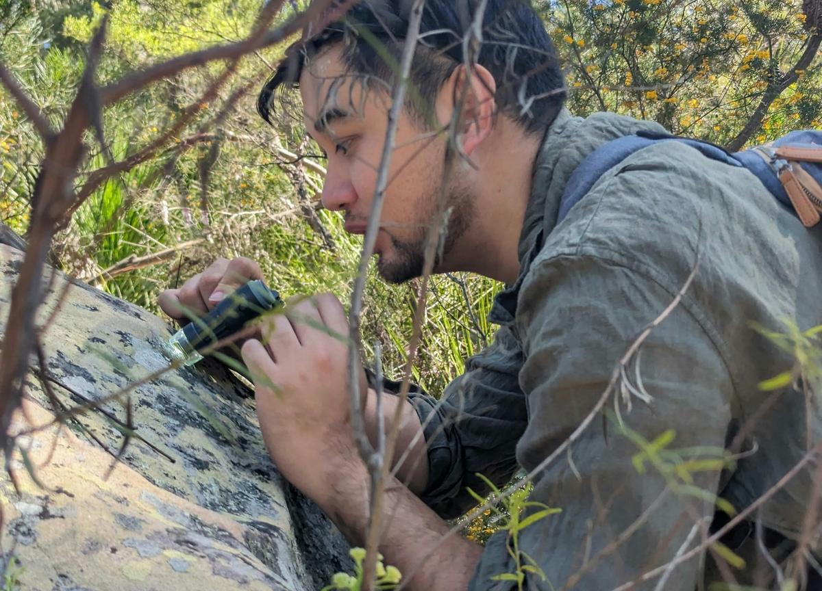 Dive into the micro realm with professional level hand held microscopes