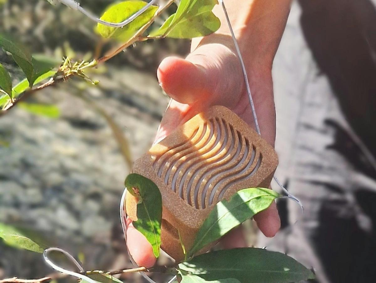 Listen to plant music with a specialised device