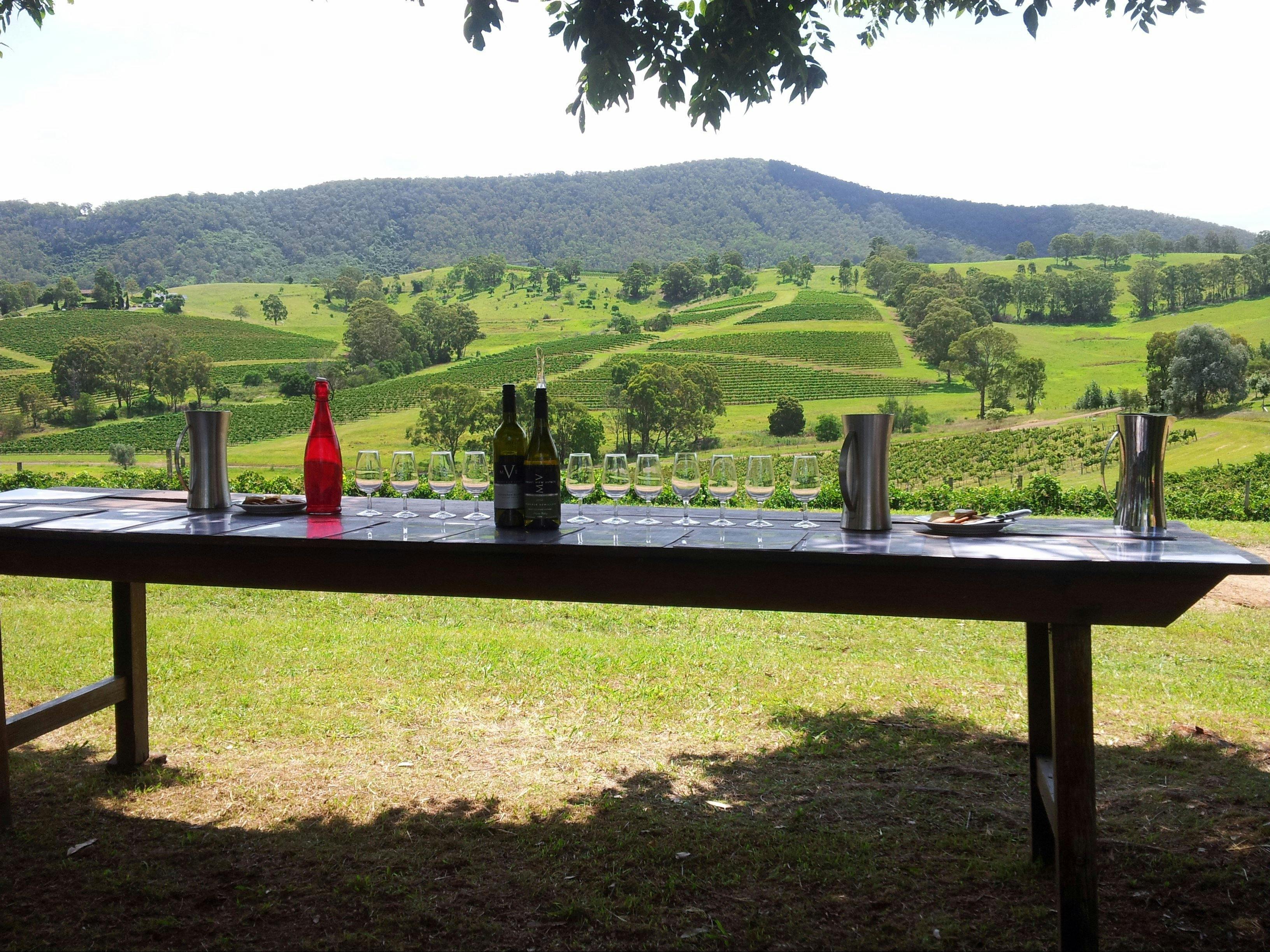 Hunter Valley Wine Tours with Lunch, Cheese, Chocolate & Organic Vodka Tasting