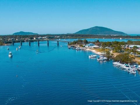 Aerial view of Tea Gardens