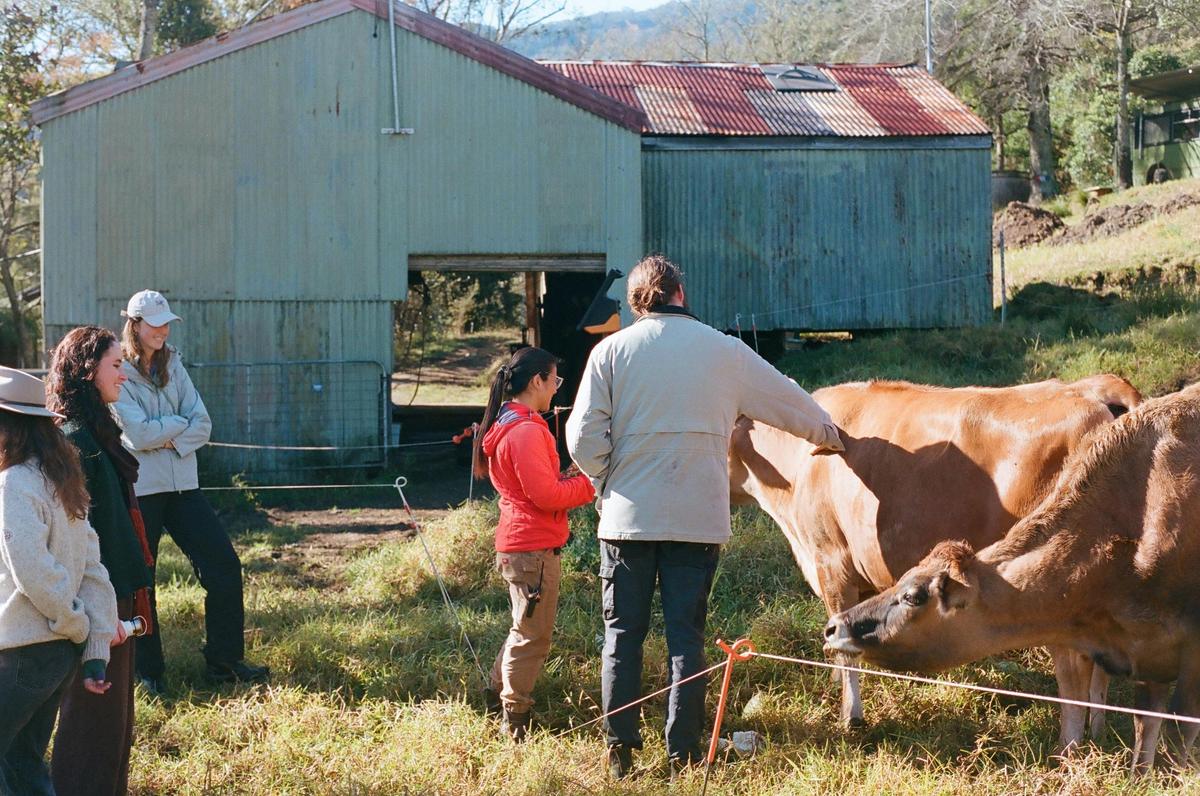Farm Tour