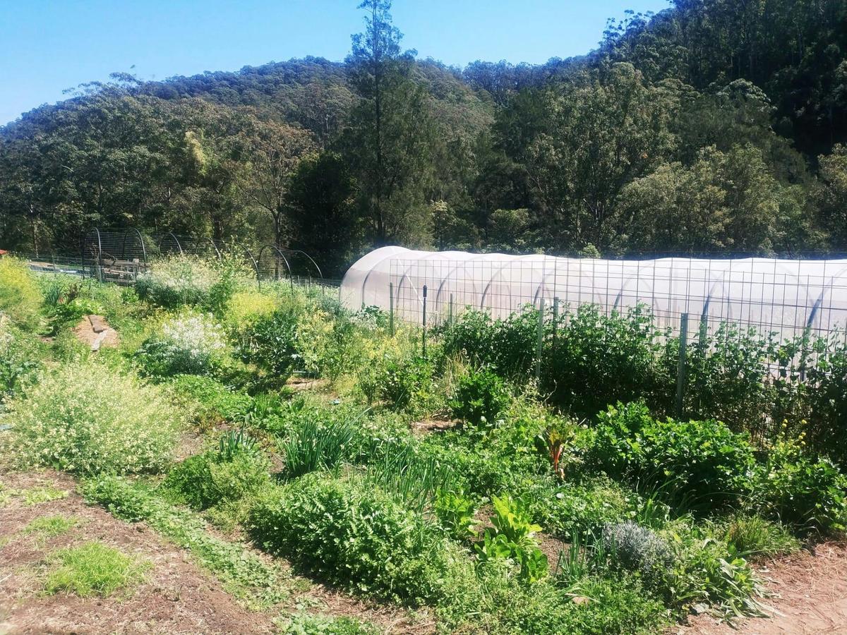 Garden ecosystem