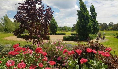 Guided Walking Tours - Southern Highlands Botanic Gardens