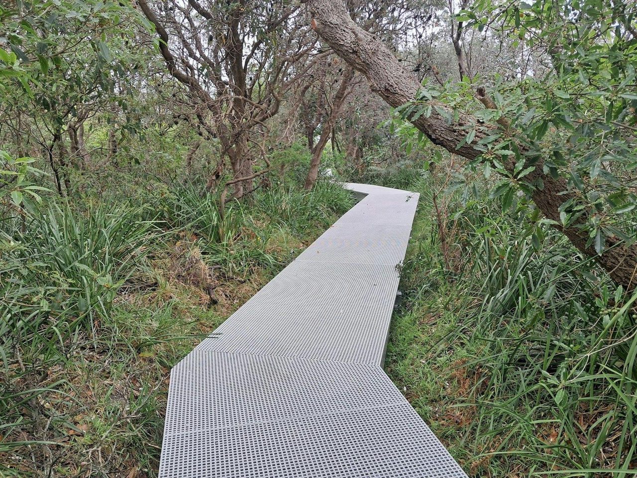 Coomee Nulunga Walk