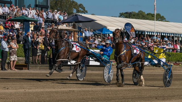 Club Menangle