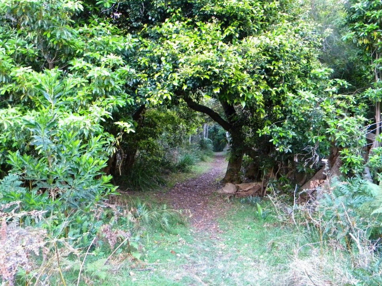 The path to Cunjurong Point Beach